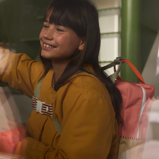 Chest Strap Stripes Assorted Colours