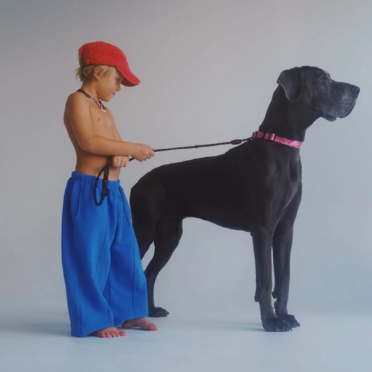 Rocky Trackpant Cobalt Blue