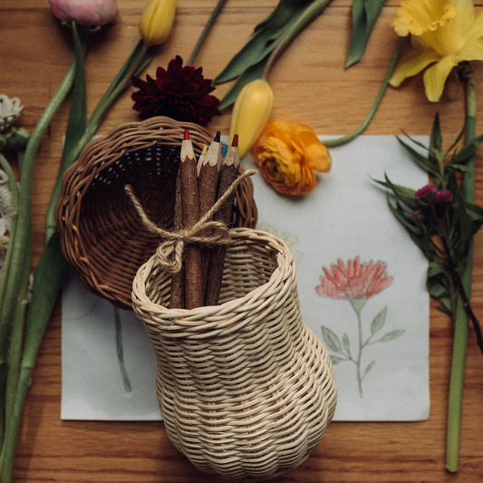 Porcini Mushroom Basket With Twig Pencils