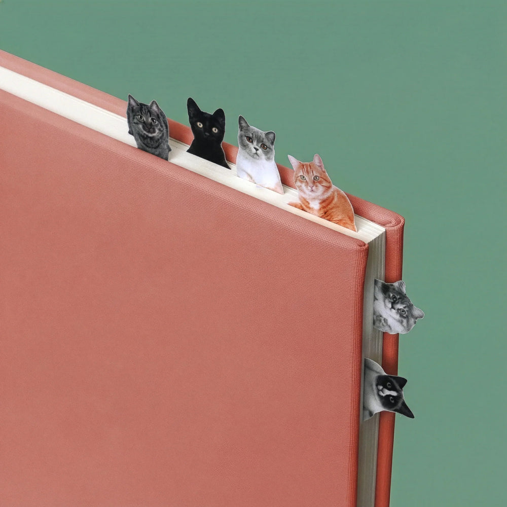 Pikkii Page Markers Cat packaging
