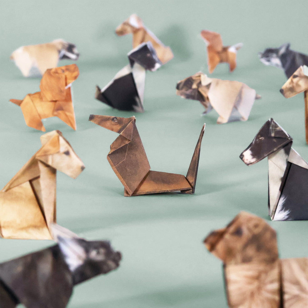 Pikkii Paper Pups folded dogs