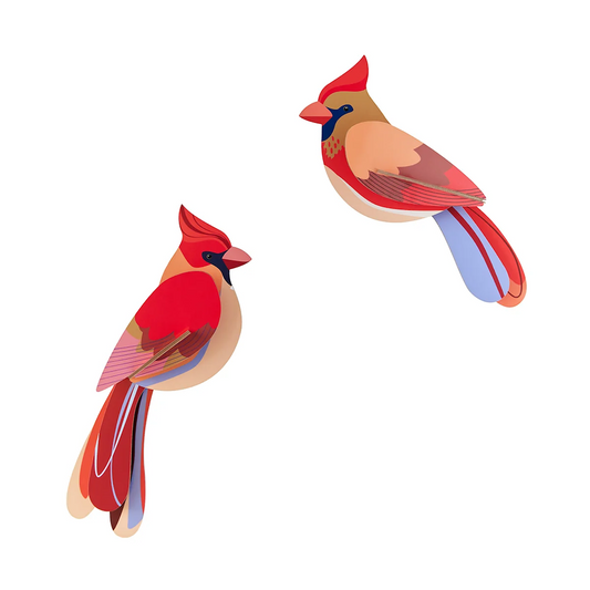 Wall Art Garden Birds B6 Cardinals