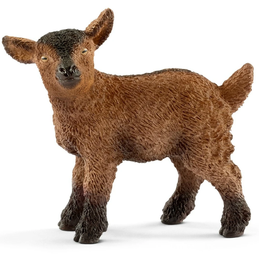 Goat Kid