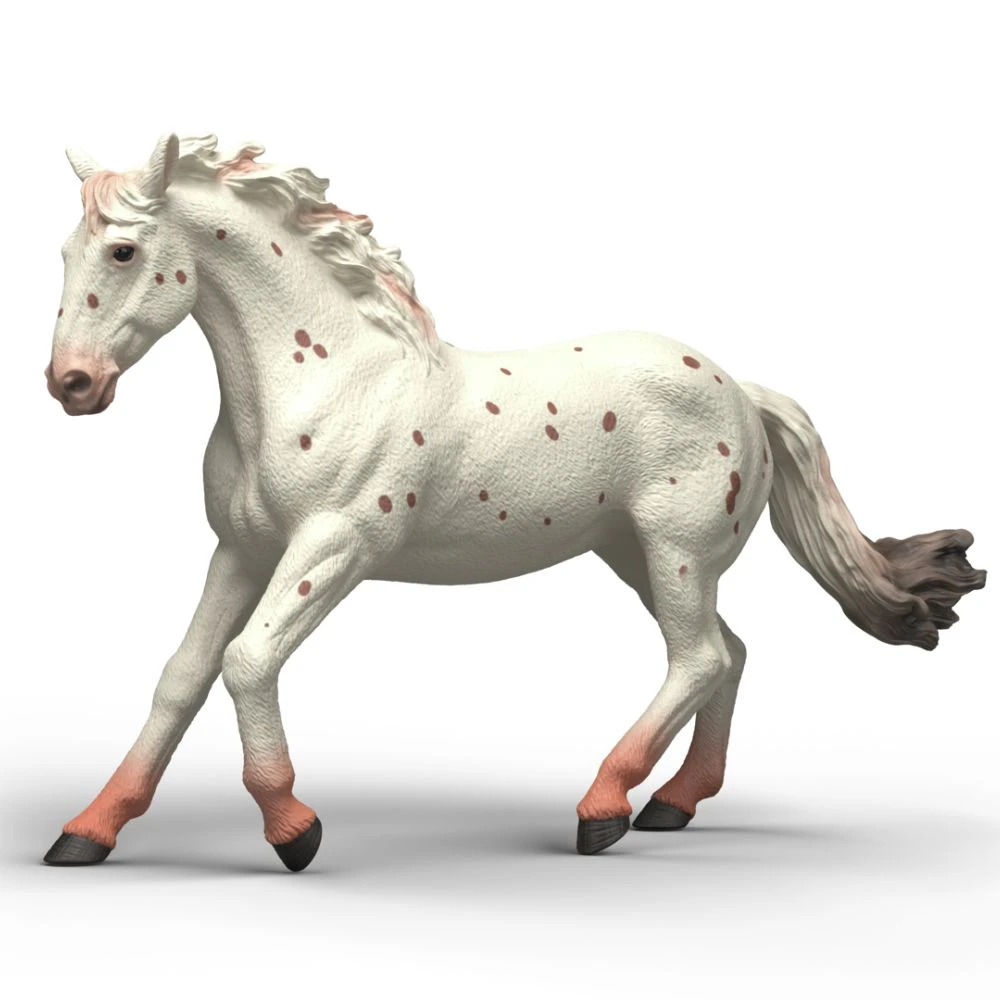 Knabstrupper Mare