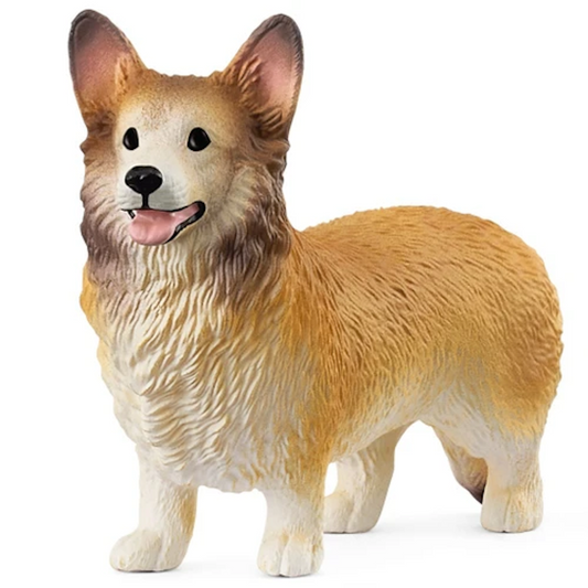 Welsh Corgi