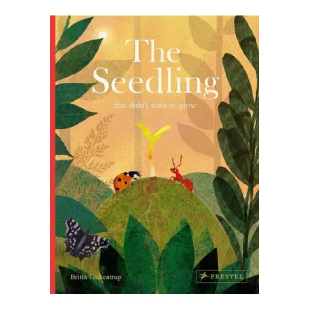 Seedling That Didn't Want To Grow