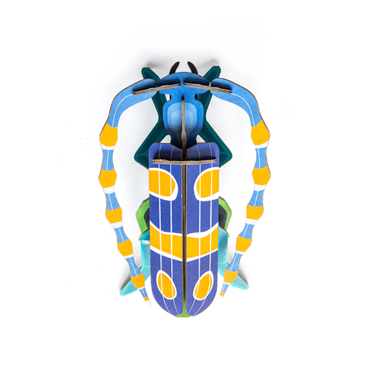 Wall Art B7 Rosalia Beetle