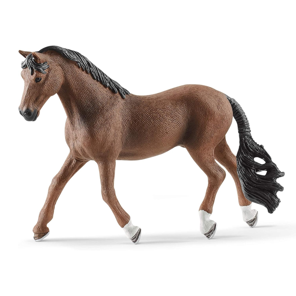 Trakehner Gelding