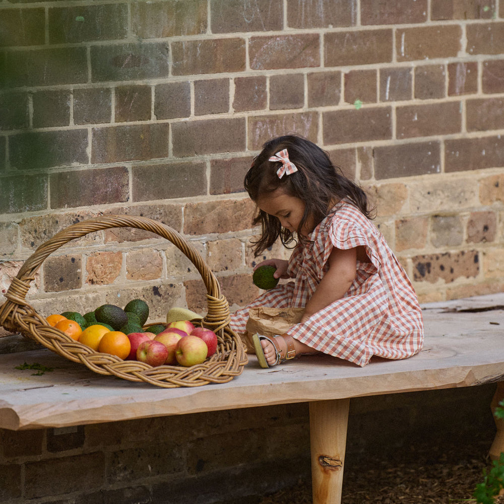 Una Dress - Dandelion Gingham (alt)