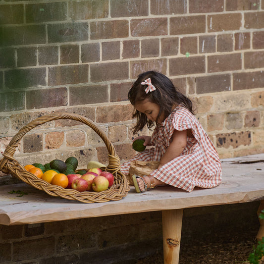 Una Dress - Dandelion Gingham (alt)