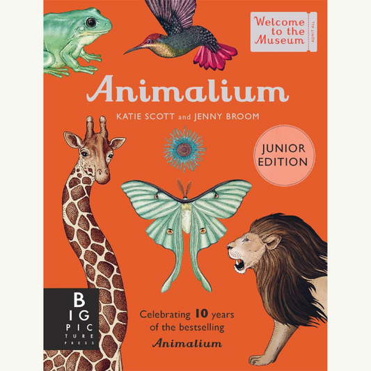 Animalium Junior Edition