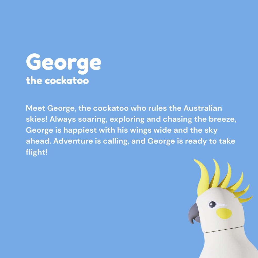 Asobu Bestie Bottle Cockatoo lifestyle
