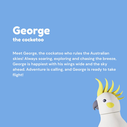 Asobu Bestie Bottle Cockatoo lifestyle