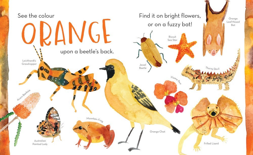 Australia First Colours Board Book