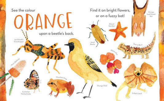 Australia First Colours Board Book