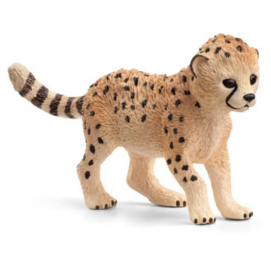 Cheetah Baby