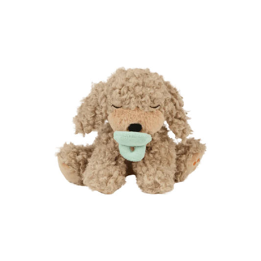 Binky Puppy Benny