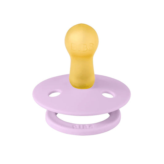 Bibs Dummy Ladybug Violet Sky/ Petal Round