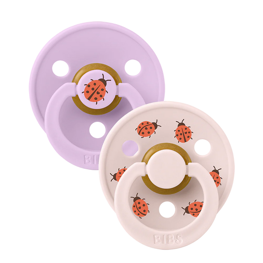 Bibs Dummy Ladybug Violet Sky/ Petal Round