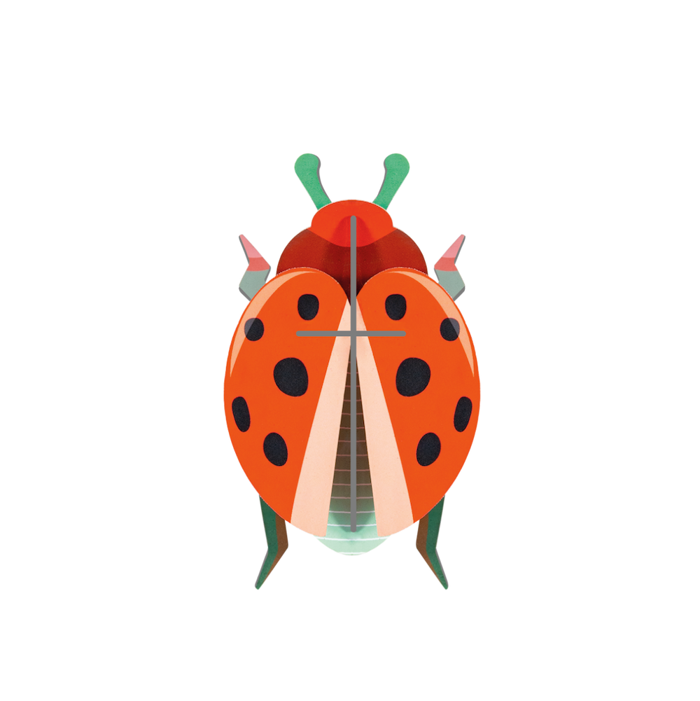 Wall Art B7 Coccinelle Rouge