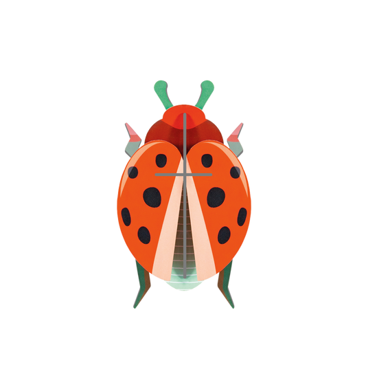 Wall Art B7 Coccinelle Rouge