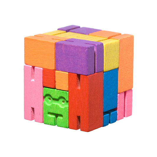 Cubebot Micro Multi