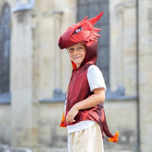 The All Day Everyday Dragon Vest