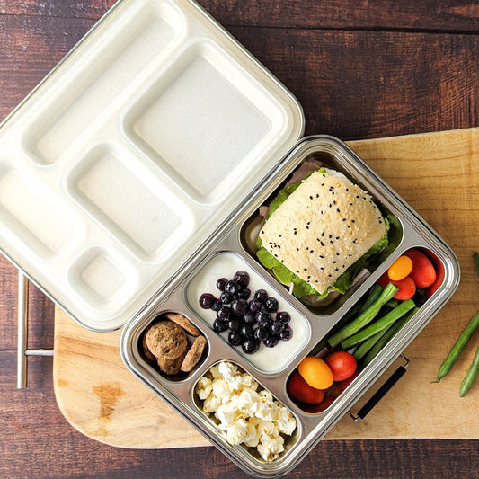 Bento Lunch Box 5 Opaque