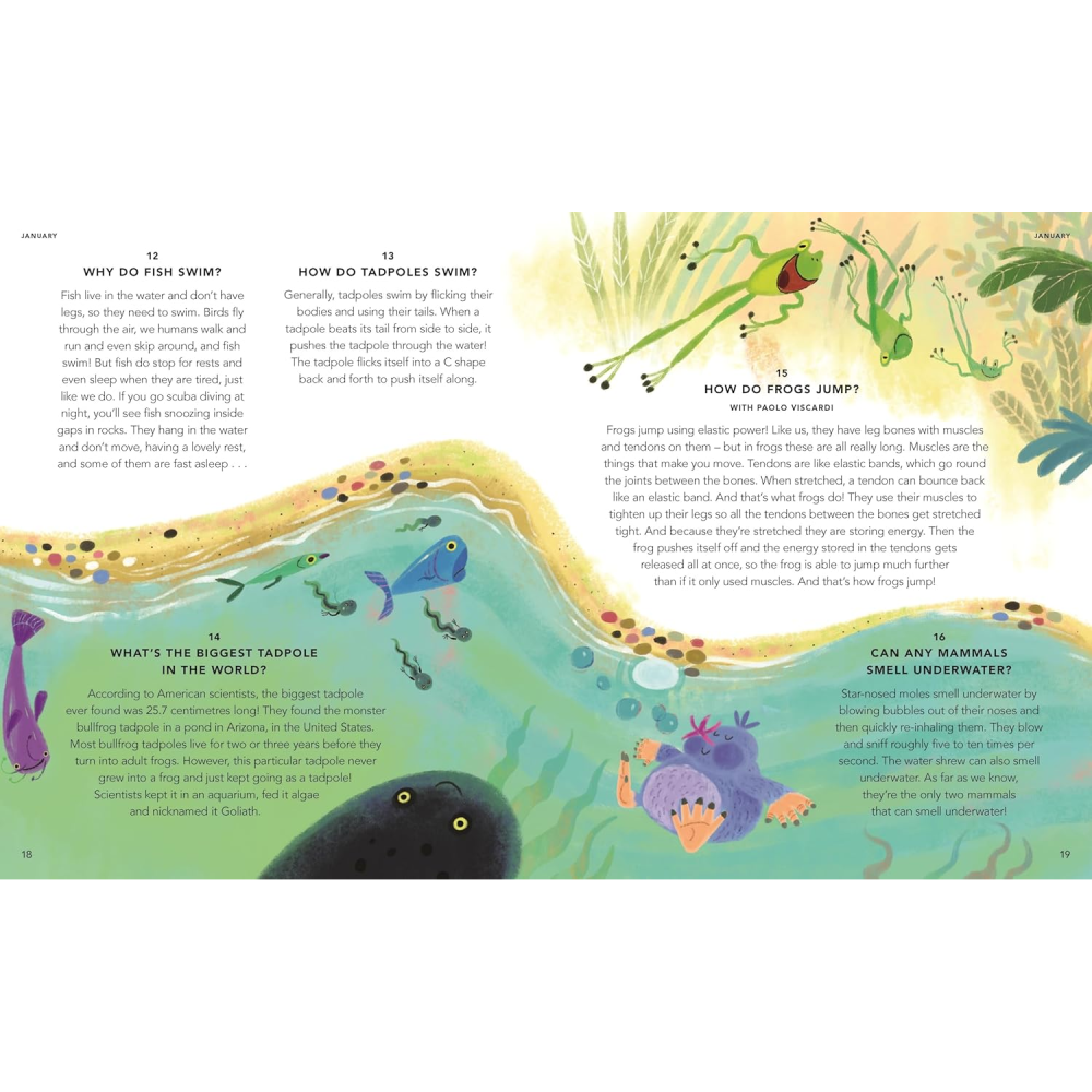 Everything Under The Sun: All Around The World