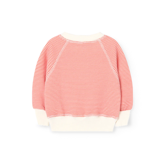 Jackal Baby Sweatshirt - flat back