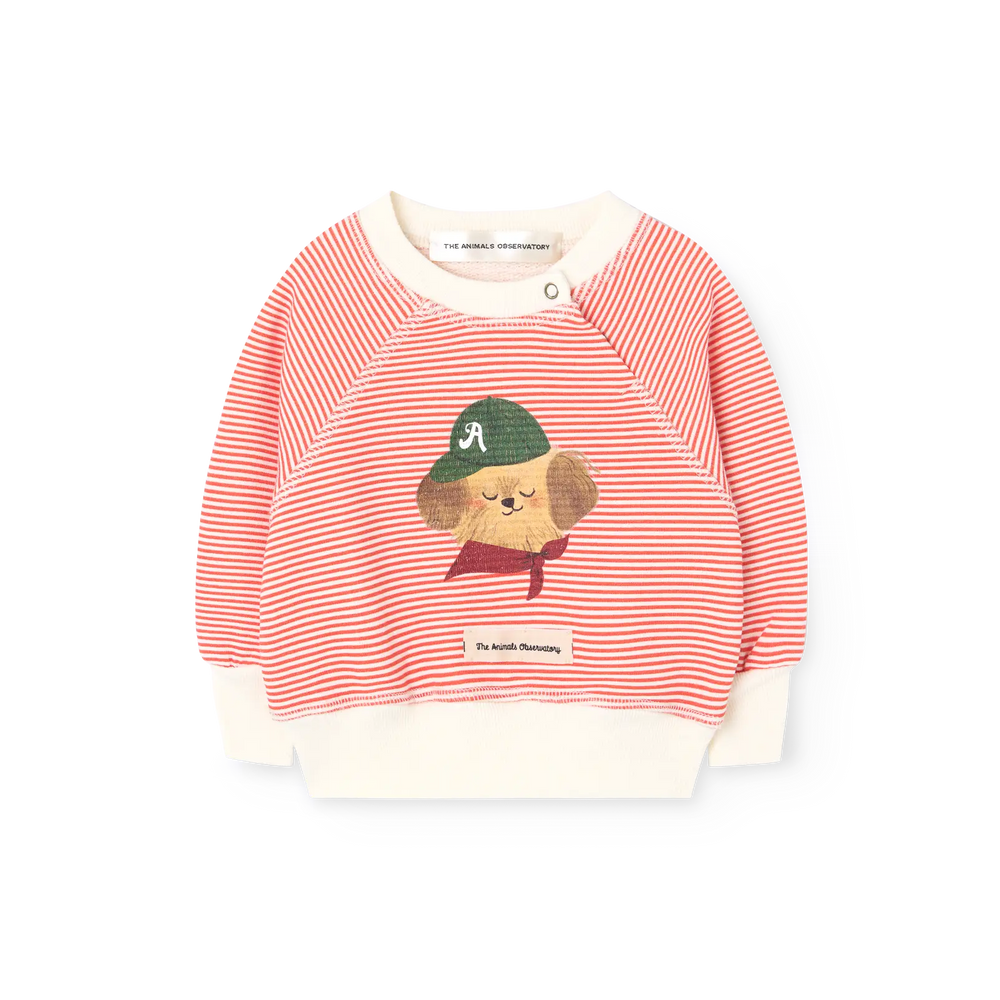 Jackal Baby Sweatshirt - flat front