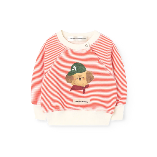 Jackal Baby Sweatshirt - flat front