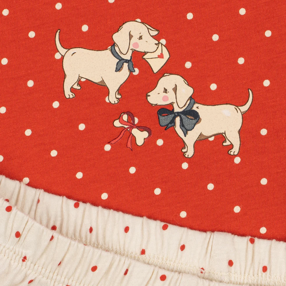 Famo Box Fit Set Fraise Dot