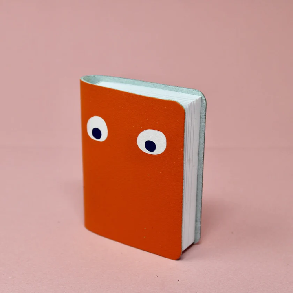 Googly Eye Mini Book Orange