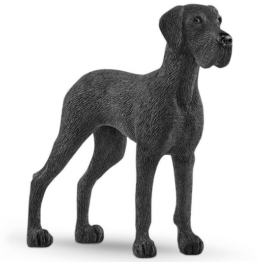 Great Dane