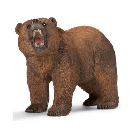 Grizzly Bear