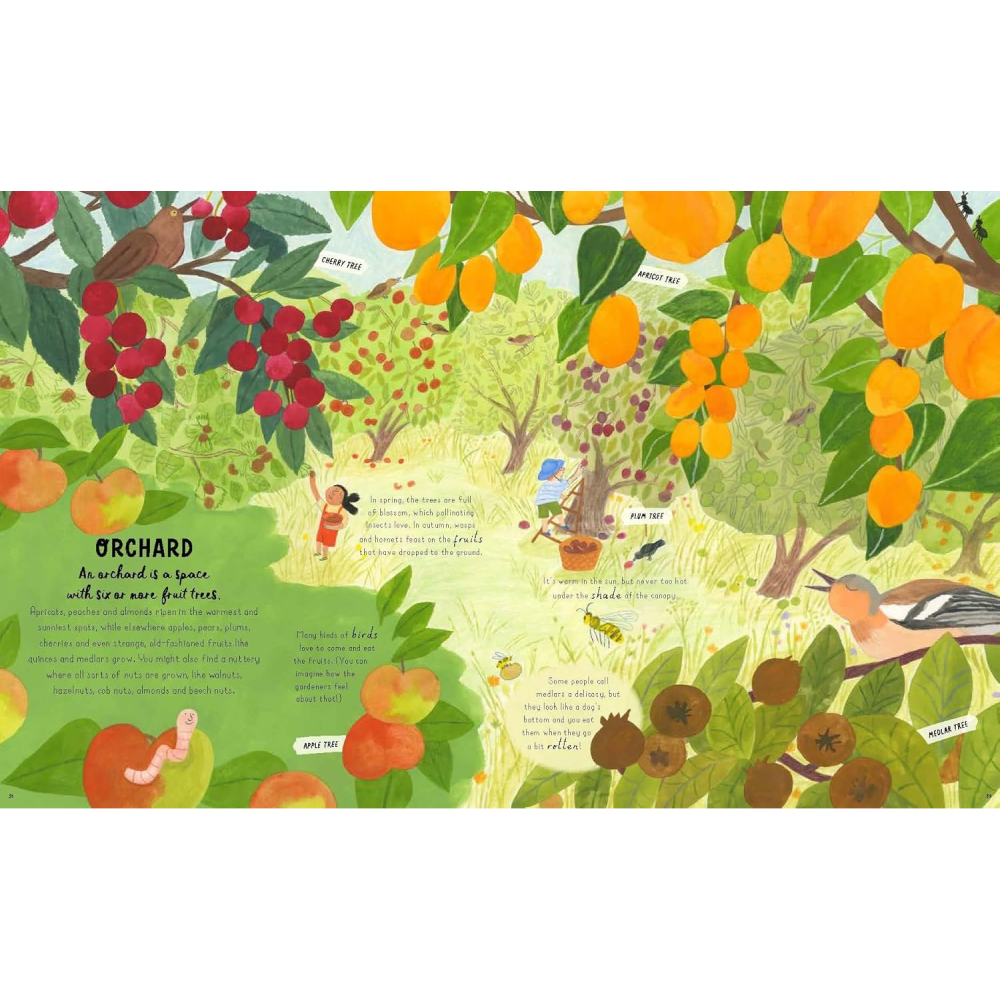 How To Grow A Garden