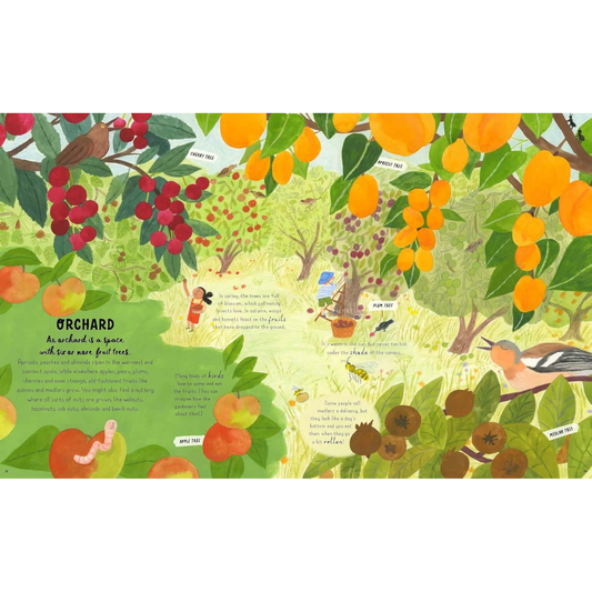 How To Grow A Garden