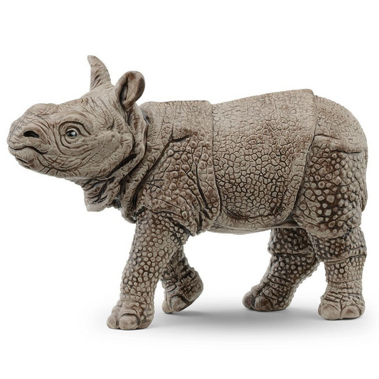 Indian Rhinoceros Baby