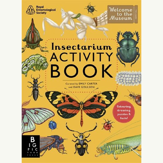 Insectarium: Activity Book (Welcome to the Museum)