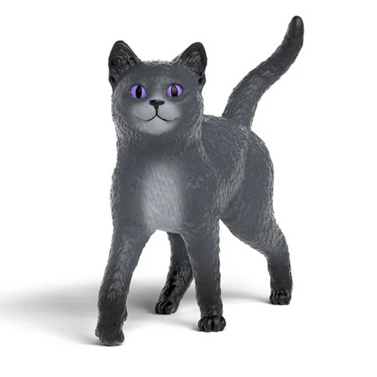 Karajan The Cat