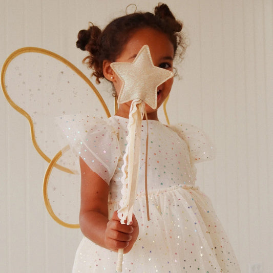 Fairy Costume Fairy Etoile