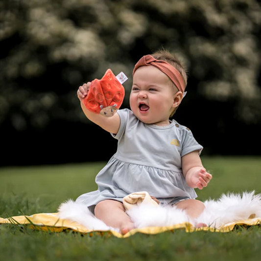 Ladybug Scrunchie Toy