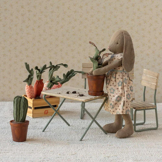 Flower Pot with Cactus