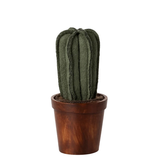 Flower Pot with Cactus