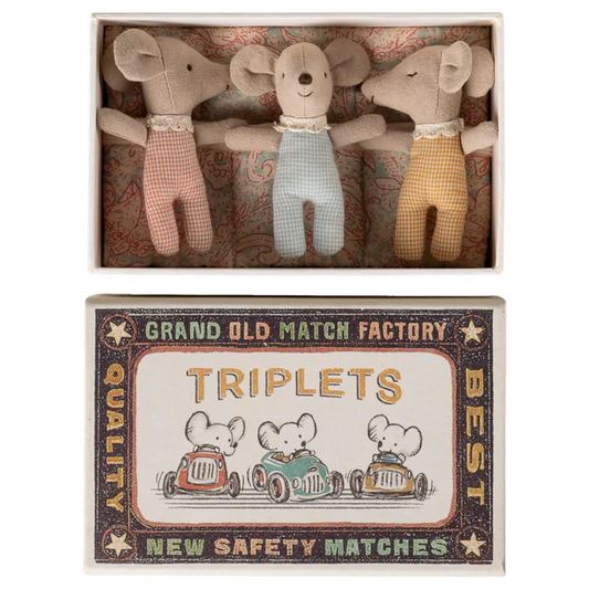 Mice Triplets Baby In Matchbox Checker