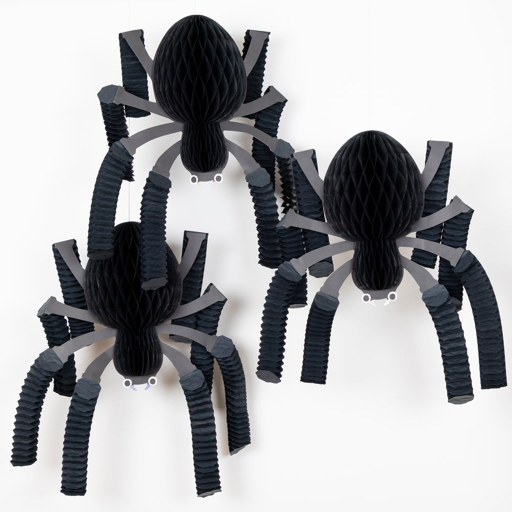Honeycomb Spiders