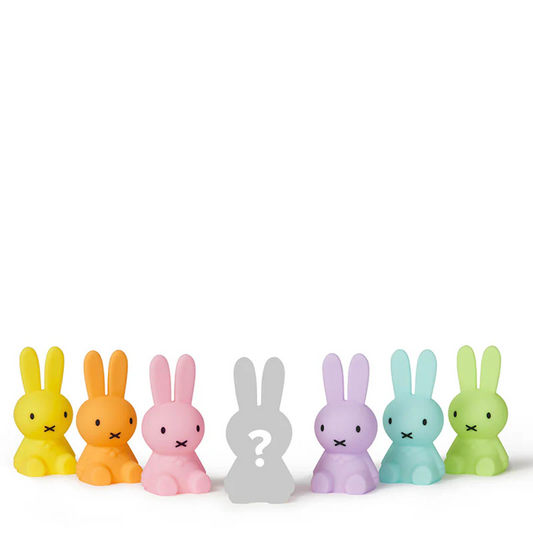 Miffy Colourful Surprise Bundle of Light Blind Box