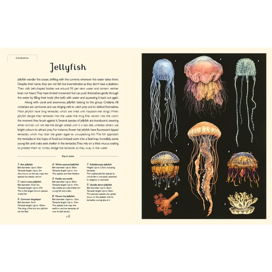 Oceanarium Junior Edition