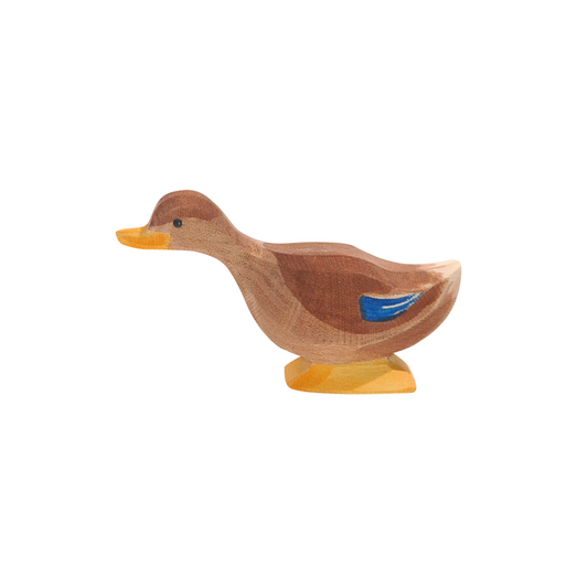Duck Long Neck